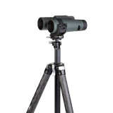 Cinch LR Mount