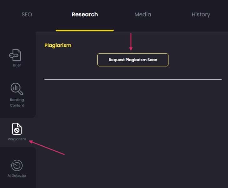 plagiarism scan in content at scale