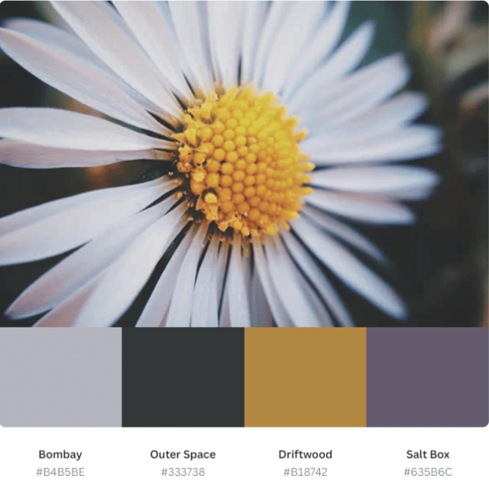 personal branding colors - palette based on photo