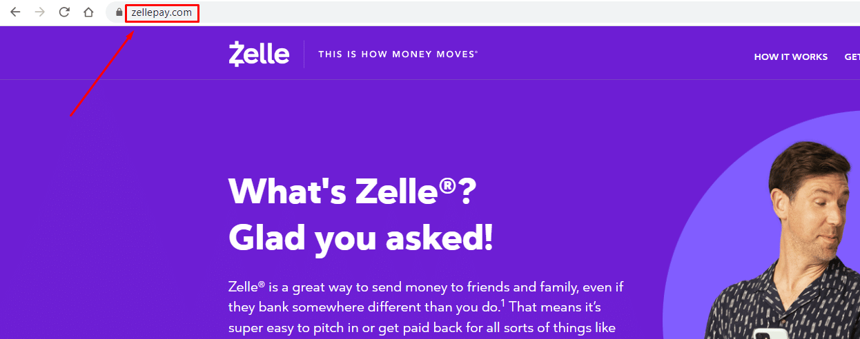 zelle payment app domain name